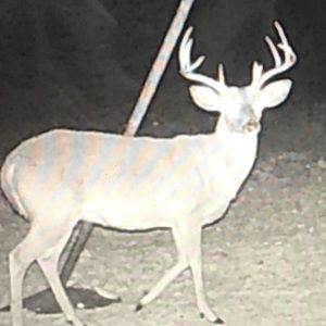 Meet your Posher, Jacob